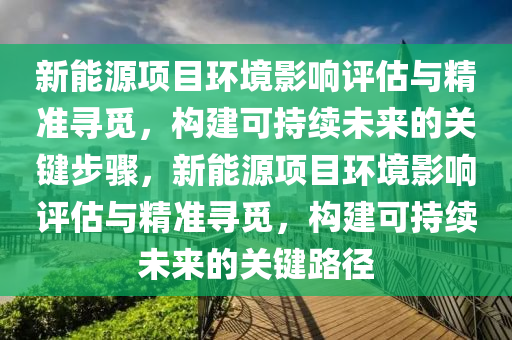 新能源项目环境影响评估与精准寻觅，构建可持续未来的关键步骤，新能源项目环境影响评估与精准寻觅，构建可持续未来的关键路径