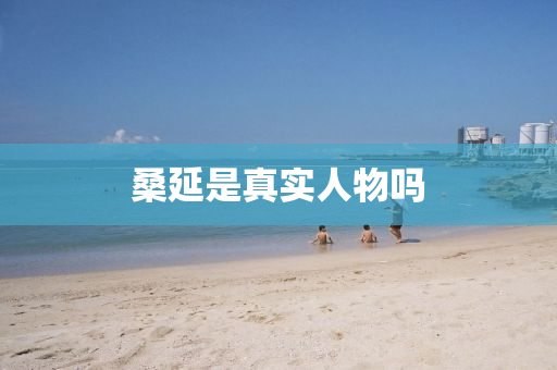 桑延是真实人物吗
