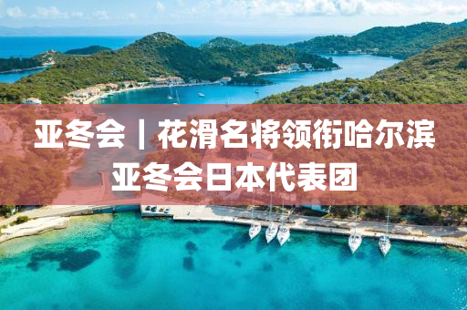亚冬会｜花滑名将领衔哈尔滨亚冬会日本代表团