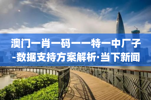 澳门一肖一码一一特一中厂子-数据支持方案解析·当下新闻