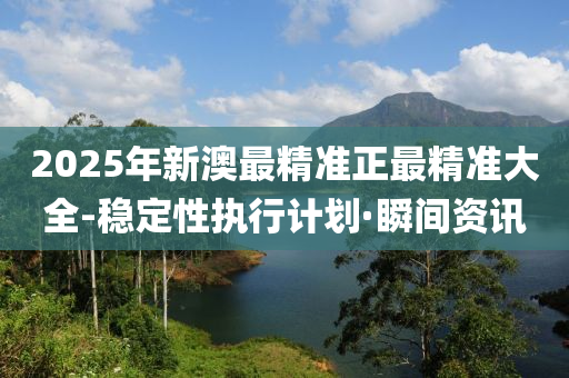 2025年新澳最精准正最精准大全-稳定性执行计划·瞬间资讯