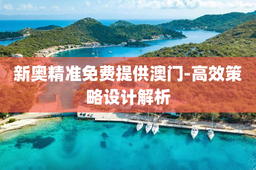 新奥精准免费提供澳门-高效策略设计解析