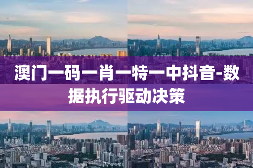 澳门一码一肖一特一中抖音-数据执行驱动决策