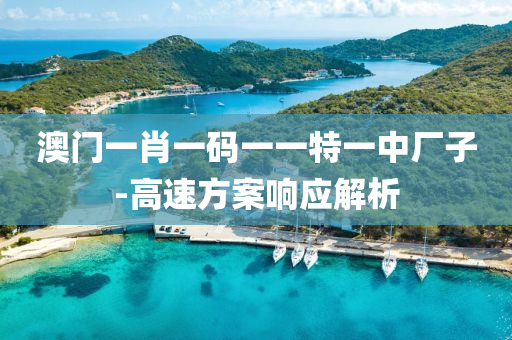 澳门一肖一码一一特一中厂子-高速方案响应解析