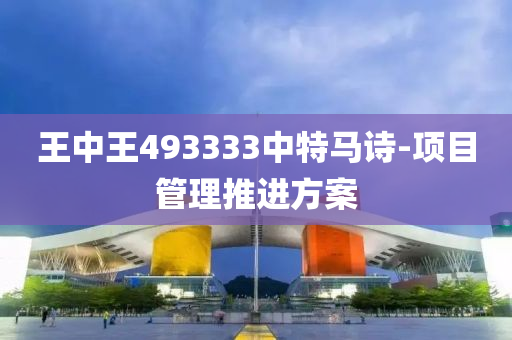王中王493333中特马诗-项目管理推进方案