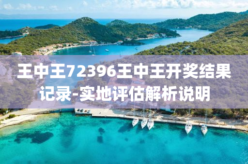 王中王72396王中王开奖结果记录-实地评估解析说明