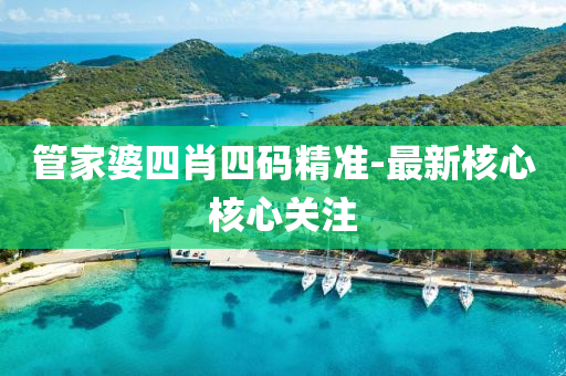 管家婆四肖四码精准-最新核心核心关注