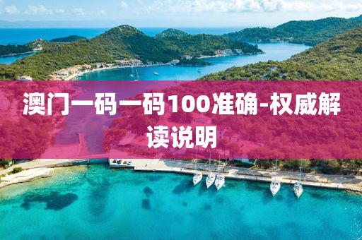 澳门一码一码100准确-权威解读说明