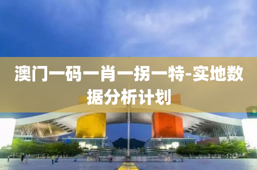 澳门一码一肖一拐一特-实地数据分析计划