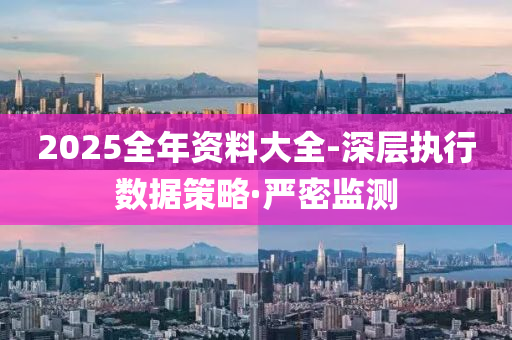 2025全年资料大全-深层执行数据策略·严密监测