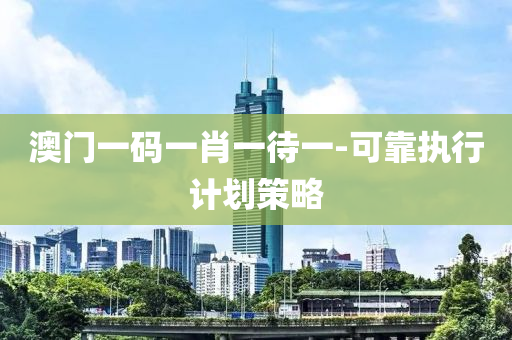 澳门一码一肖一待一-可靠执行计划策略