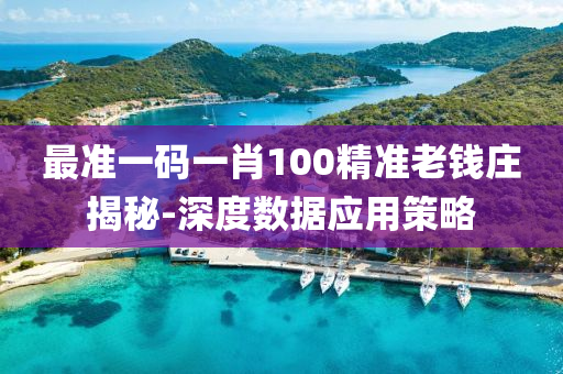 最准一码一肖100精准老钱庄揭秘-深度数据应用策略
