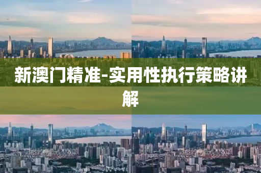 新澳门精准-实用性执行策略讲解