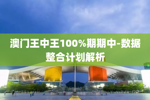 澳门王中王100%期期中-数据整合计划解析