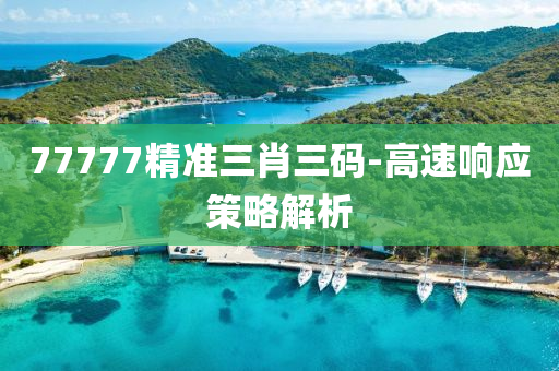 77777精准三肖三码-高速响应策略解析