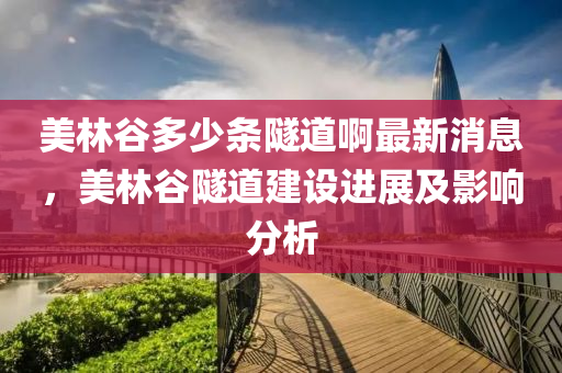 美林谷多少条隧道啊最新消息，美林谷隧道建设进展及影响分析
