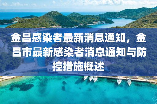 金昌感染者最新消息通知，金昌市最新感染者消息通知与防控措施概述