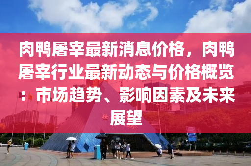 肉鸭屠宰最新消息价格，肉鸭屠宰行业最新动态与价格概览：市场趋势、影响因素及未来展望