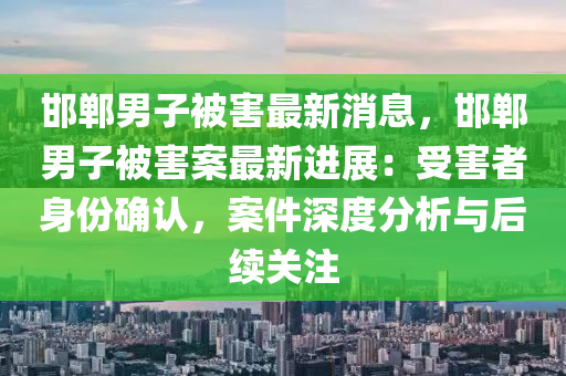 邯郸男子被害最新消息，邯郸男子被害案最新进展：受害者身份确认，案件深度分析与后续关注