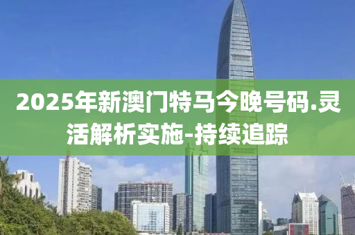 2025年新澳门特马今晚号码.灵活解析实施-持续追踪