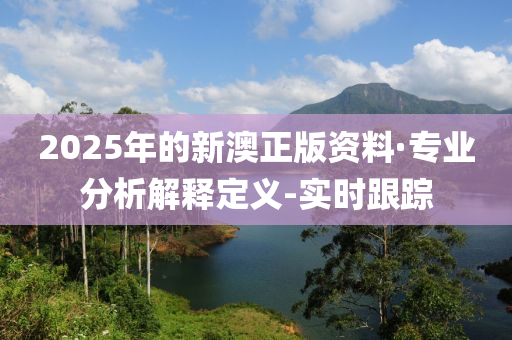 2025年的新澳正版资料·专业分析解释定义-实时跟踪