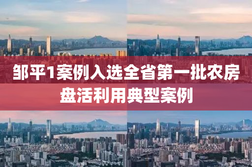 邹平1案例入选全省第一批农房盘活利用典型案例