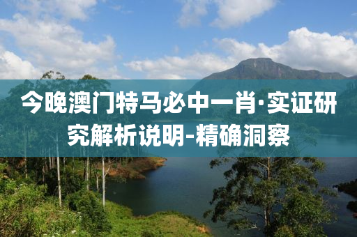 今晚澳门特马必中一肖·实证研究解析说明-精确洞察