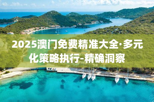 2025澳门免费精准大全·多元化策略执行-精确洞察