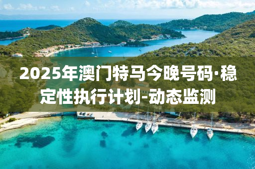 2025年澳门特马今晚号码·稳定性执行计划-动态监测