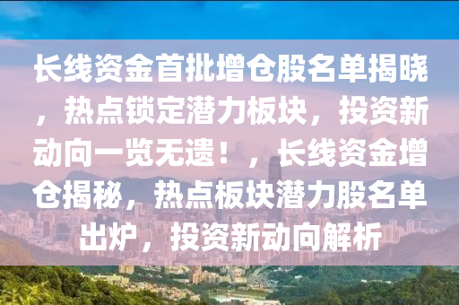 长线资金首批增仓股名单揭晓，热点锁定潜力板块，投资新动向一览无遗！，长线资金增仓揭秘，热点板块潜力股名单出炉，投资新动向解析