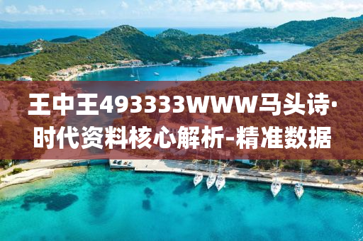 王中王493333WWW马头诗·时代资料核心解析-精准数据