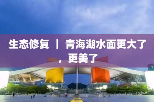生态修复 ｜ 青海湖水面更大了，更美了
