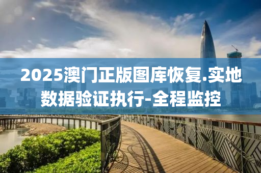 2025澳门正版图库恢复.实地数据验证执行-全程监控