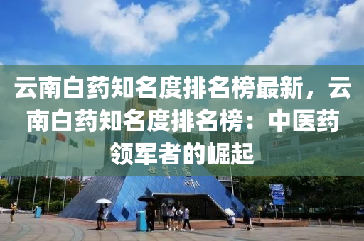 云南白药知名度排名榜最新，云南白药知名度排名榜：中医药领军者的崛起