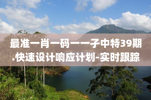 最准一肖一码一一孑中特39期.快速设计响应计划-实时跟踪