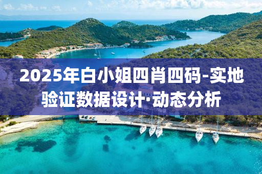 2025年白小姐四肖四码-实地验证数据设计·动态分析