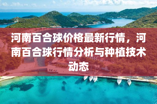 河南百合球价格最新行情，河南百合球行情分析与种植技术动态