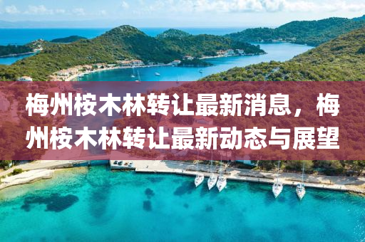梅州桉木林转让最新消息，梅州桉木林转让最新动态与展望