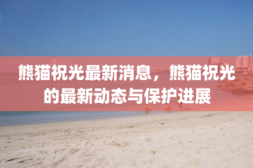 熊猫祝光最新消息，熊猫祝光的最新动态与保护进展