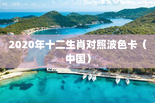 2020年十二生肖对照波色卡（中国）