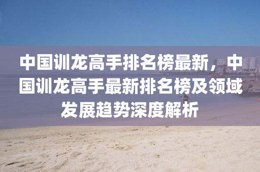 中国训龙高手排名榜最新，中国训龙高手最新排名榜及领域发展趋势深度解析