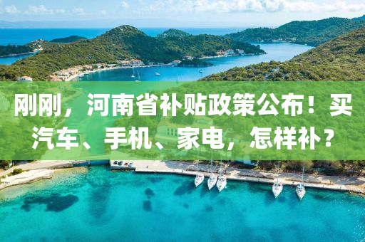 刚刚，河南省补贴政策公布！买汽车、手机、家电，怎样补？