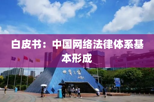 白皮书：中国网络法律体系基本形成