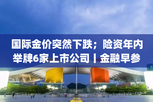 国际金价突然下跌；险资年内举牌6家上市公司丨金融早参