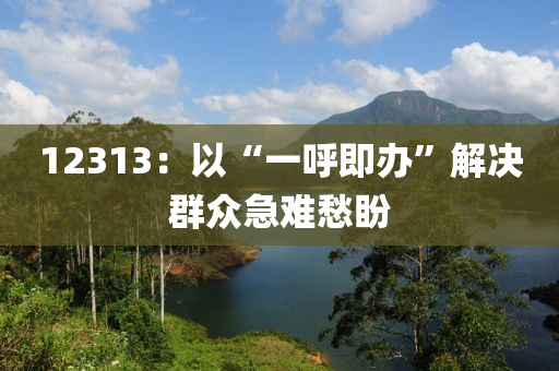 12313：以“一呼即办”解决群众急难愁盼