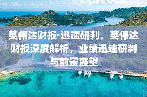 英伟达财报·迅速研判，英伟达财报深度解析，业绩迅速研判与前景展望