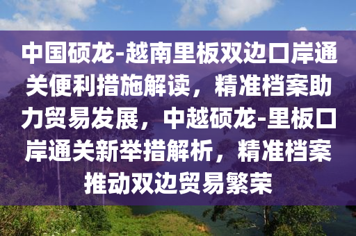 中国硕龙-越南里板双边口岸通关便利措施解读，精准档案助力贸易发展，中越硕龙-里板口岸通关新举措解析，精准档案推动双边贸易繁荣