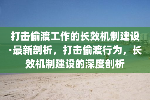 打击偷渡工作的长效机制建设·最新剖析，打击偷渡行为，长效机制建设的深度剖析