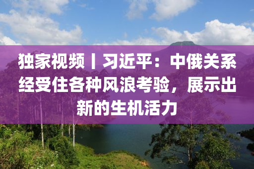 独家视频丨习近平：中俄关系经受住各种风浪考验，展示出新的生机活力