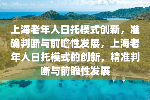 上海老年人日托模式创新，准确判断与前瞻性发展，上海老年人日托模式的创新，精准判断与前瞻性发展